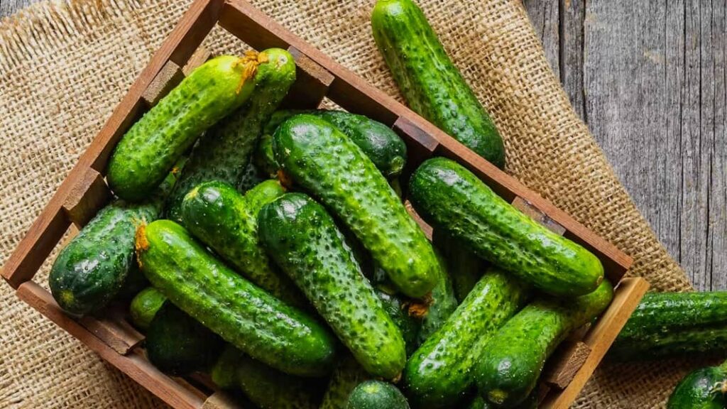 cornichons