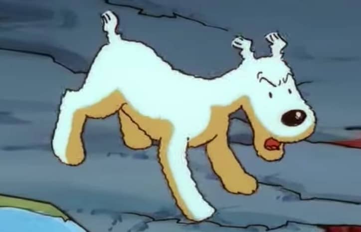 milou un chien courageux