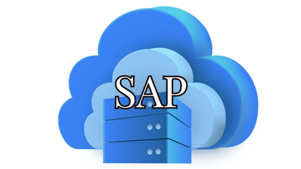 sap entreprise