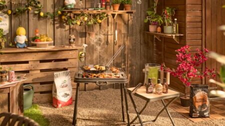 barbecue pas cher