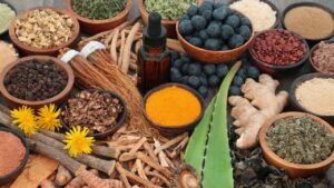 Plantes adaptogènes et microdosage : le bien-être réinventé
