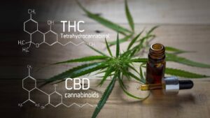 THC légal en Europe : ce qu’il faut savoir avant de consommer