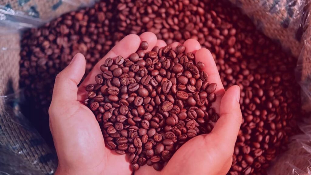 Pourquoi faut-il consommer du café en grain biologique ?