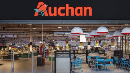 Comment faire des économies considérables chez Auchan ? Découvrez les codes secrets des prospectus publicitaires ! Faire des économies chez Auchan avec les prospectus publicitaires