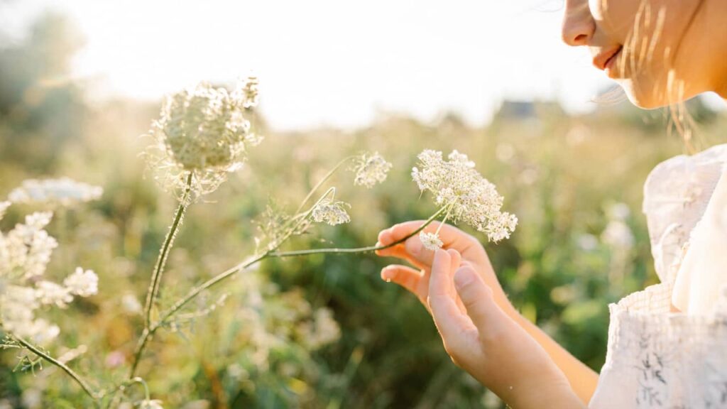 femme cueille fleur champ