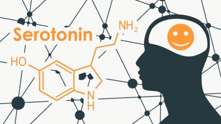 À quoi sert la sérotonine ? Ce que cette molécule change vraiment dans votre corps et votre humeur serotonine molecule