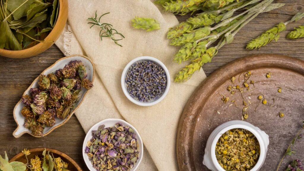 herbes graines epices